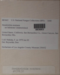 Image Associated With the Occurence